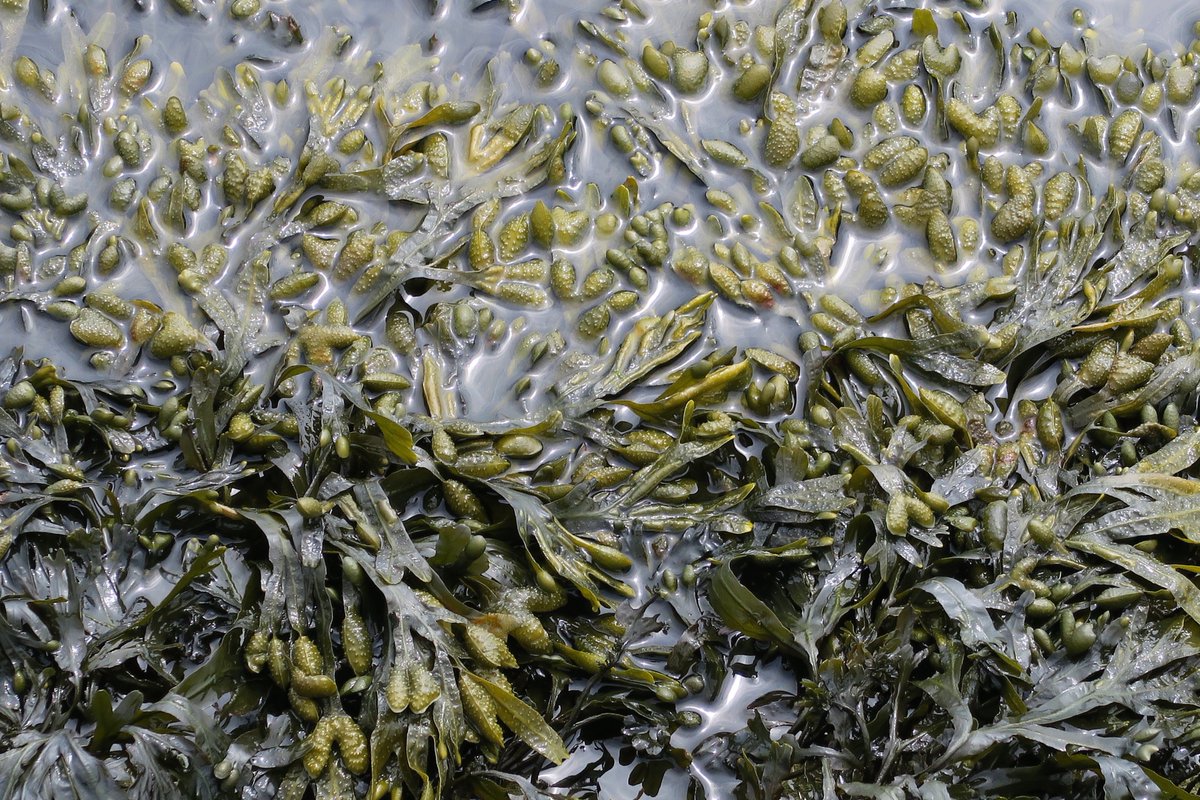 Hillblock tweet media