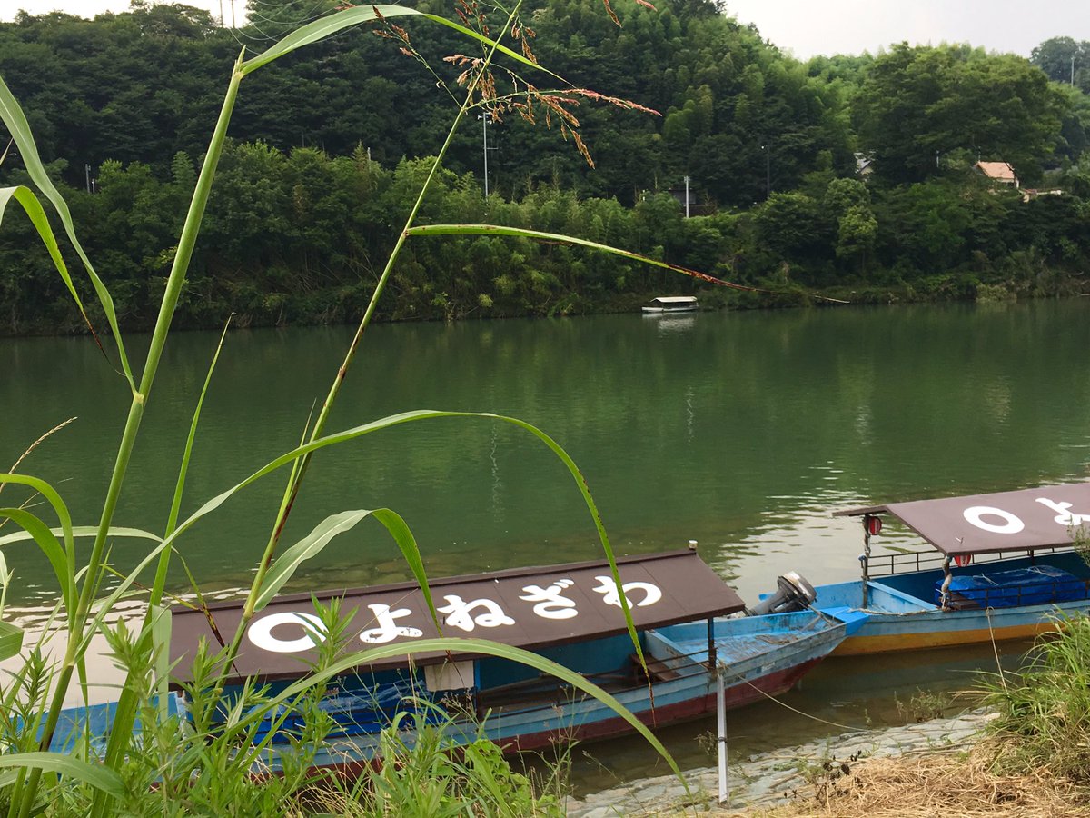 川沿いを歩いていると、たくさんの黒っぽいトンボが飛んでいました。自慢じゃないけど、トンボの名前はオニヤンマ以外知らないのです。
