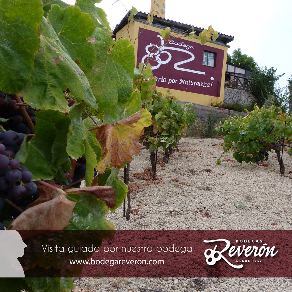 Bodega Reveron tweet media