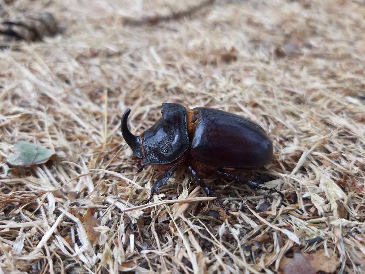 Vandaag precies 40 jaar ambtsjubileum, wat een cadeau.