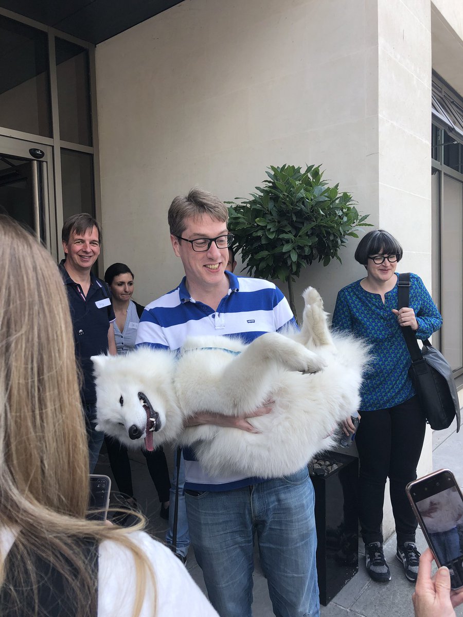 dmerfeld's tweet image. Not all conferences are equal. This one comes with two lovely dogs!  #hackingwithswiftlive