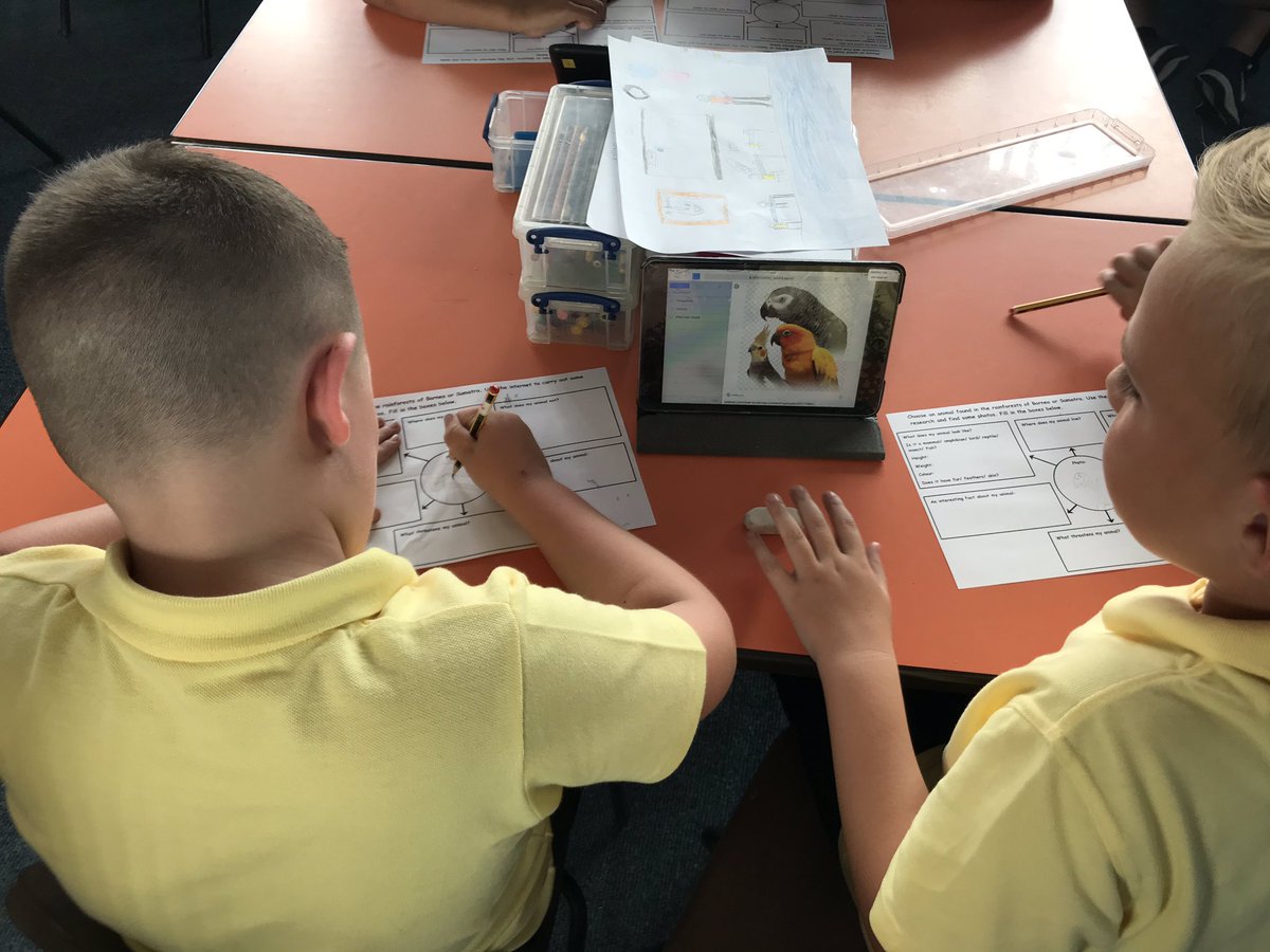 ButtonLane_'s tweet image. Using our ICT skills on the iPads to research animals found in the rainforest #3SP #ParadiseProtectors 🌴🦍🐆🦋🕷