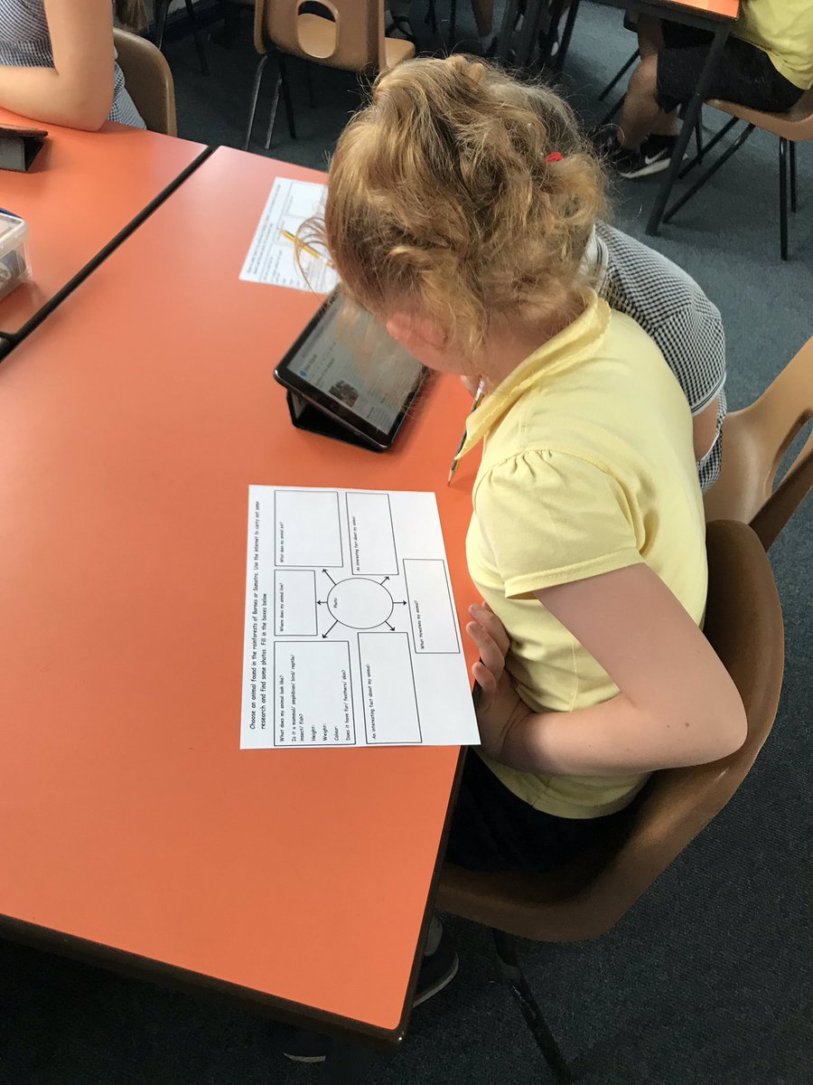 ButtonLane_'s tweet image. Using our ICT skills on the iPads to research animals found in the rainforest #3SP #ParadiseProtectors 🌴🦍🐆🦋🕷