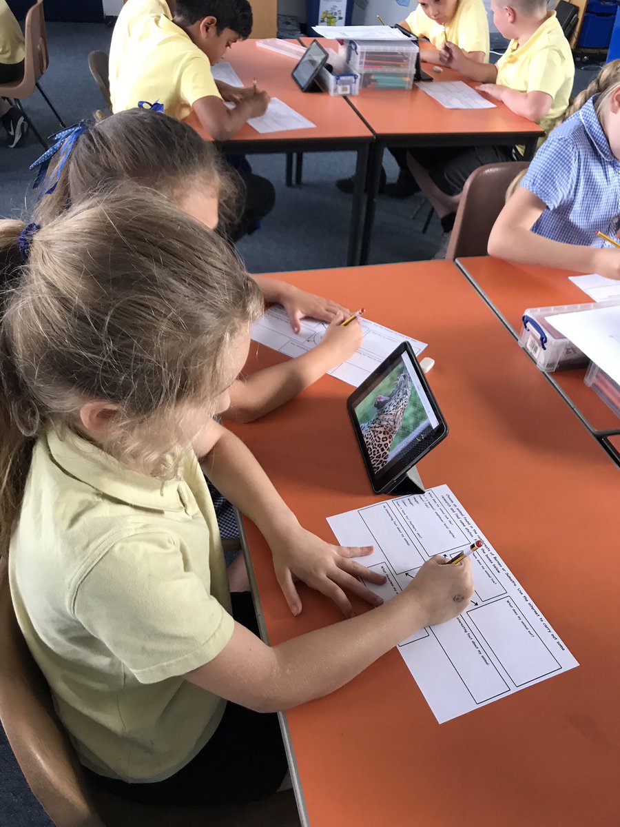 ButtonLane_'s tweet image. Using our ICT skills on the iPads to research animals found in the rainforest #3SP #ParadiseProtectors 🌴🦍🐆🦋🕷