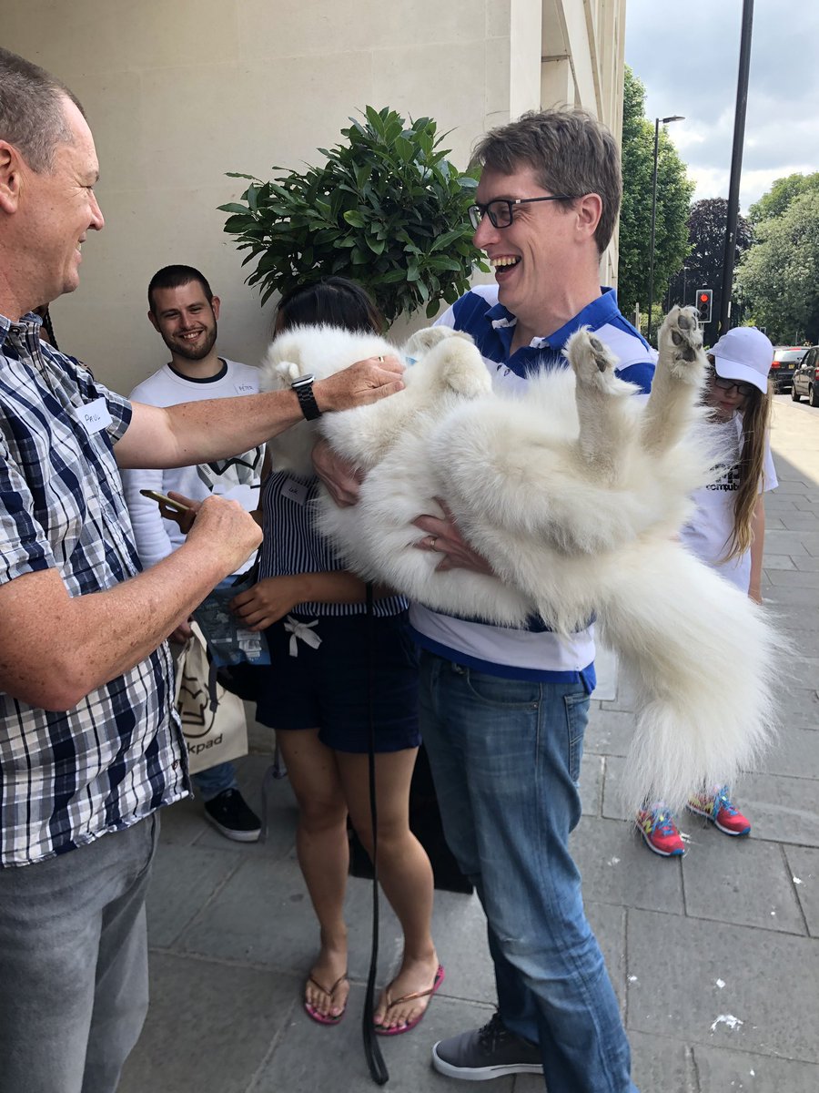 kelhutch17's tweet image. The puppers have arrived!! #HackingWithSwiftLive