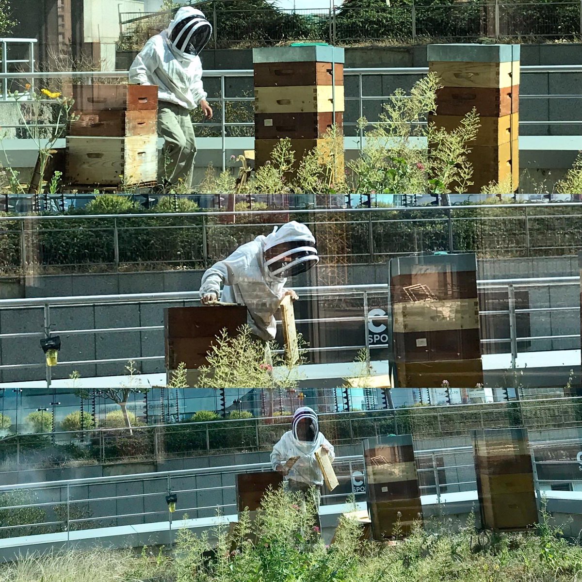 Marie-Doha Besancenot tweet media