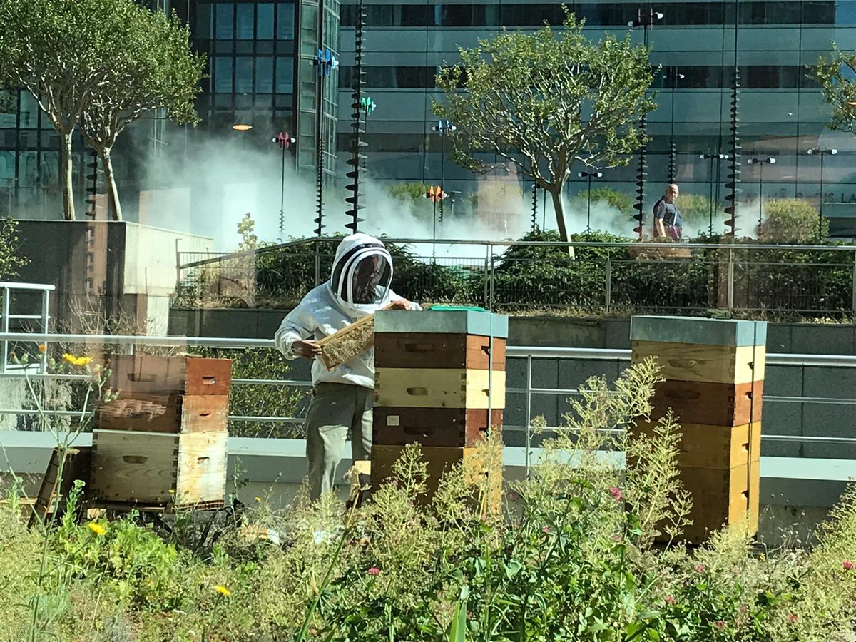 Marie-Doha Besancenot tweet media