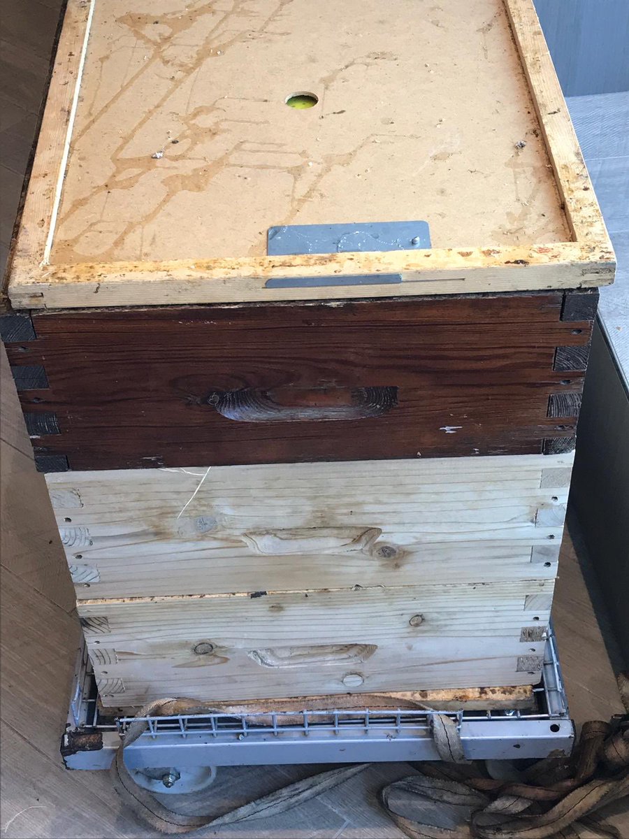 Miel pops #Allianz en préparation sur  les toits du siège <a href="/allianzfrance/">Allianz France</a> ! 🍯 Visite de l’apiculteur à notre colonie d’ #abeilles #TeamAllianz <a href="/ParisLaDefense/">Paris La Défense</a> #bees #biodiversite #ruches #RSE