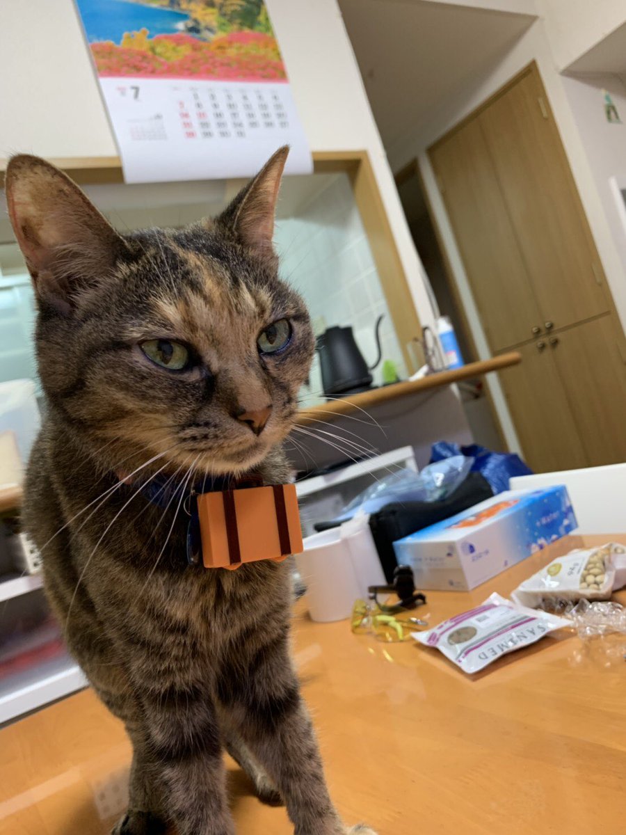 nyanko0910's tweet photo. あー頑張らなきゃ良かったなーもう少し自分本位じゃないと
遠くに行きたいー https://t.co/TEy0xO4e6m