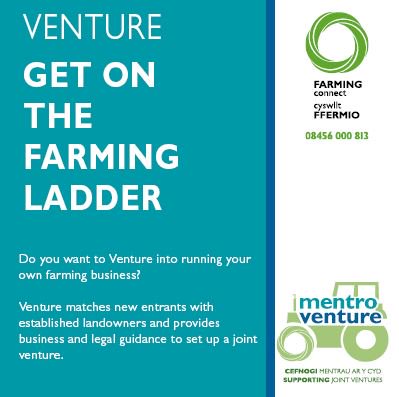 FarmingConnect's tweet photo. 𝗩𝗲𝗻𝘁𝘂𝗿𝗲 - Get on the Farming Ladder.
For more information, follow the link👉 https://t.co/xfcuoYxmNb
@WalesYFC @NFUCymru @FUWpress @cymrulleol @WelshGovernment https://t.co/w6zdVEGBW8