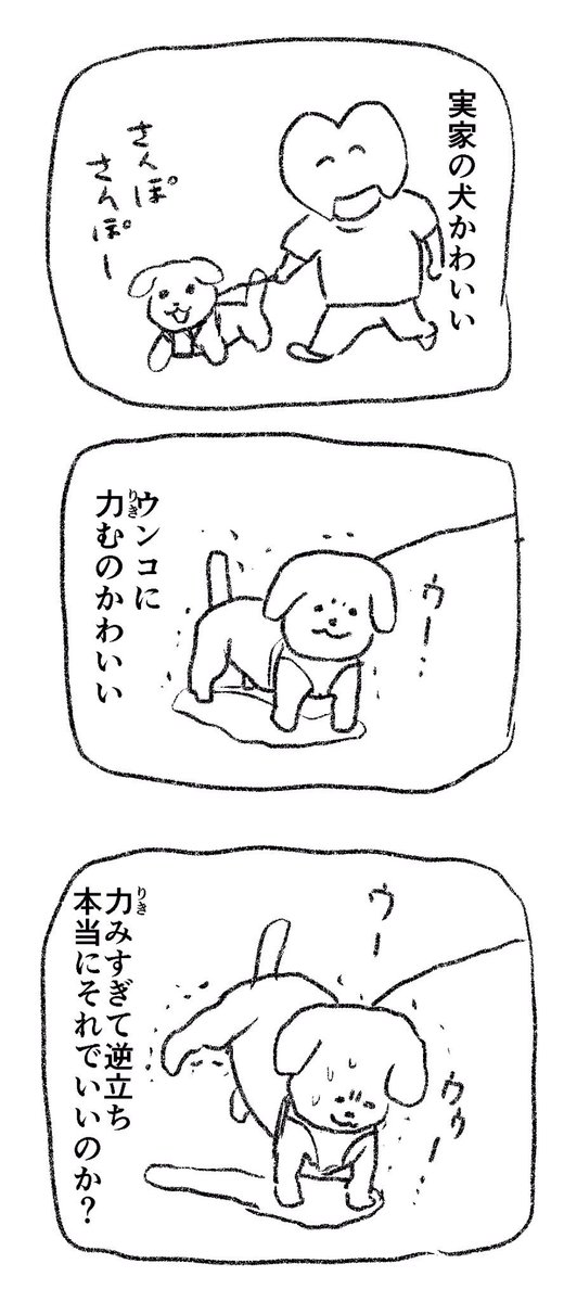 【犬大好き】 