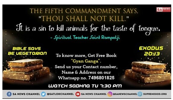 JyotiRampal1's tweet image. #OnePlus7MirrorBlue

Then God said, "They will have power over the fish, the birds and all animals, domestic and wild, large and small."  
Genesis 1:26 - Holy Bible 
God did not order to kill animals.