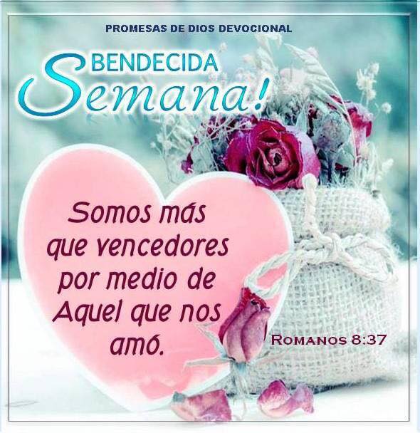 loremgcastillo's tweet photo. Bendecida semana, les deseo que todo lo que hagan prospere y sea muy bendecido por Dios.
Romanos 8:37  Sin embargo, en todo esto somos más que vencedores por medio de aquel que nos amó.💗 https://t.co/jKV5RcQfXA
