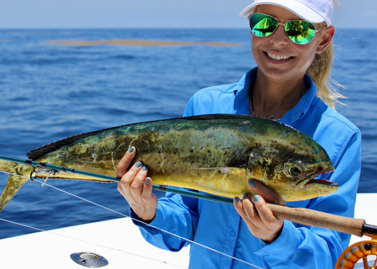 Debbie Hanson tweet media