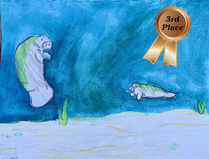 savethemanatee's tweet photo. 2019 Manatee Art Contest - Here are the Winners!
Congratulations to the 3 submissions that won the popular vote on Facebook!
In first place is Serena C. , 2nd place goes to Jaimelyn S. and in third place is Lucas M. (12 years old!)! https://t.co/pxLfkTuiDa