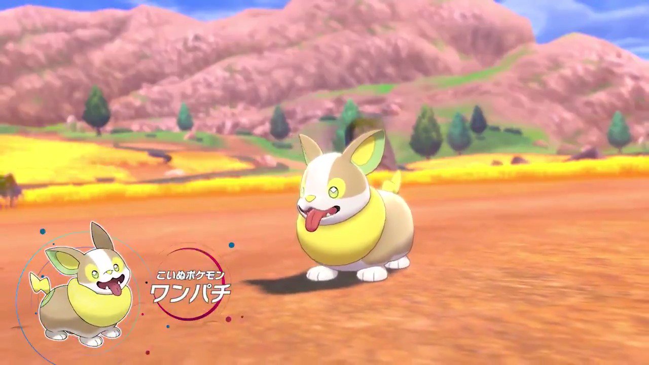 公式 ポケモン情報局 ガラル地方のポケモン紹介 ワンパチ パチパチ放電しながら走り回るこいぬ ポケモン 動くものに惹かれる習性があり 人や他のポケモンを追いかけ回すことも ポケモン剣盾 T Co 74inkxpczz
