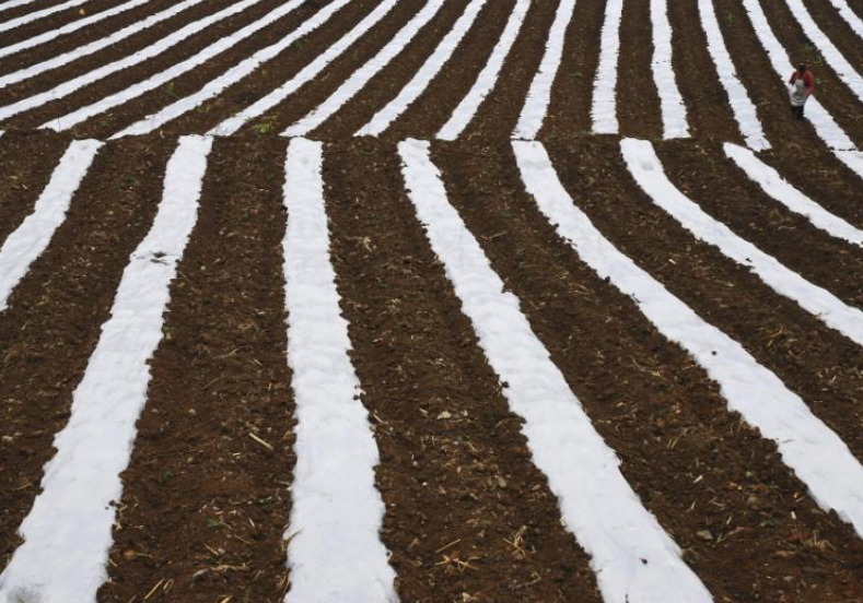 wef's tweet photo. Here’s how China is reducing its reliance on plastic mulch for farming https://t.co/hwpOzTejnr #environment #china https://t.co/uQoxDLsSfc