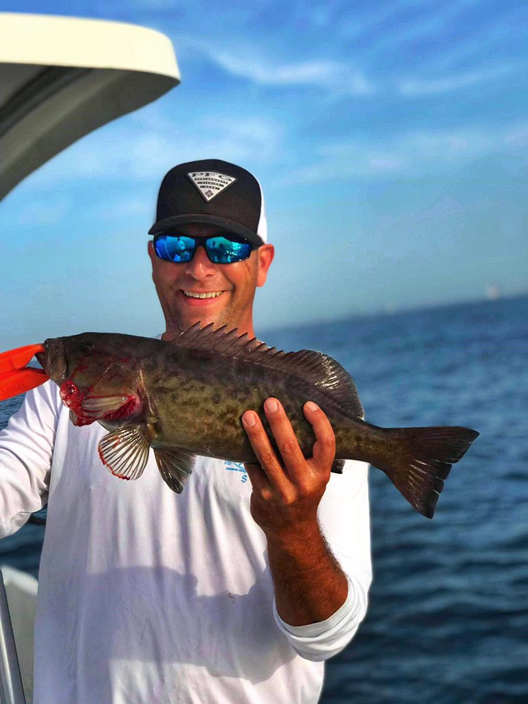 Nicholas Wheatley tweet media