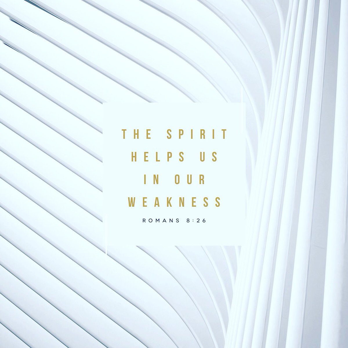 carolcbailey's tweet photo. Meditation: Likewise the Spirit also helps in our weaknesses. For we do not know what we should pray for as we ought, but the Spirit Himself makes intercession for us with groanings which cannot be uttered. @YouVersion #word #truth #wheniamweak #Heisstrong https://t.co/lqO9u5hEL5