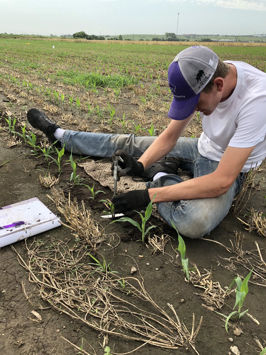 K-State Engineering tweet media