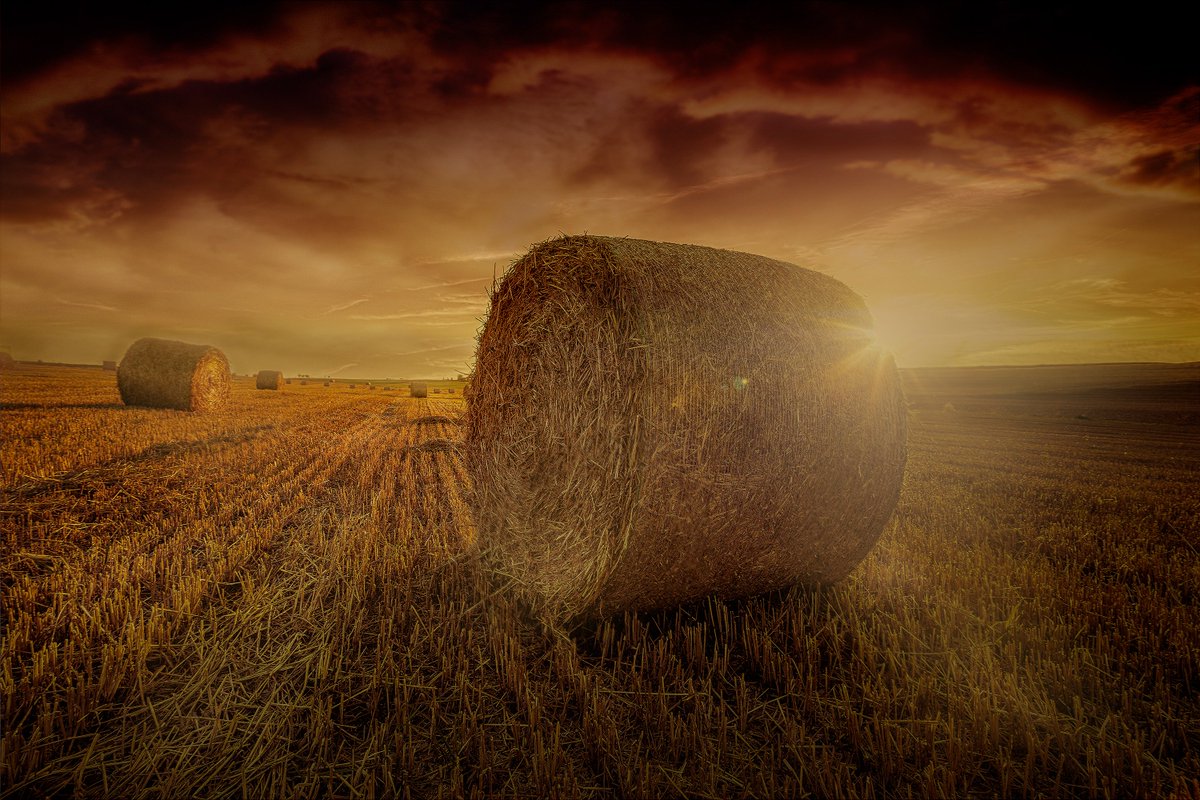 VillageSemence's tweet image. Une nouvelle #semaine débute, #VillageSemence vous souhaite un bon #lundi à tou.te.s !
#VillageSemence #agriculture #elevage #agriculteurs #agricultrices #eleveuses #eleveurs #moisson #lundimotivation #france