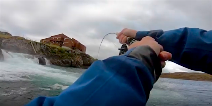 FishingHolidays's tweet photo. New video out!  Atlantic Salmon on the famed Grimsa River in Iceland, right here: https://t.co/TrNCByBQg2 #WhereWiseMenFish #FlyFishing #Travel #FlyTying #ShadowFlies https://t.co/GIedJ7p3by