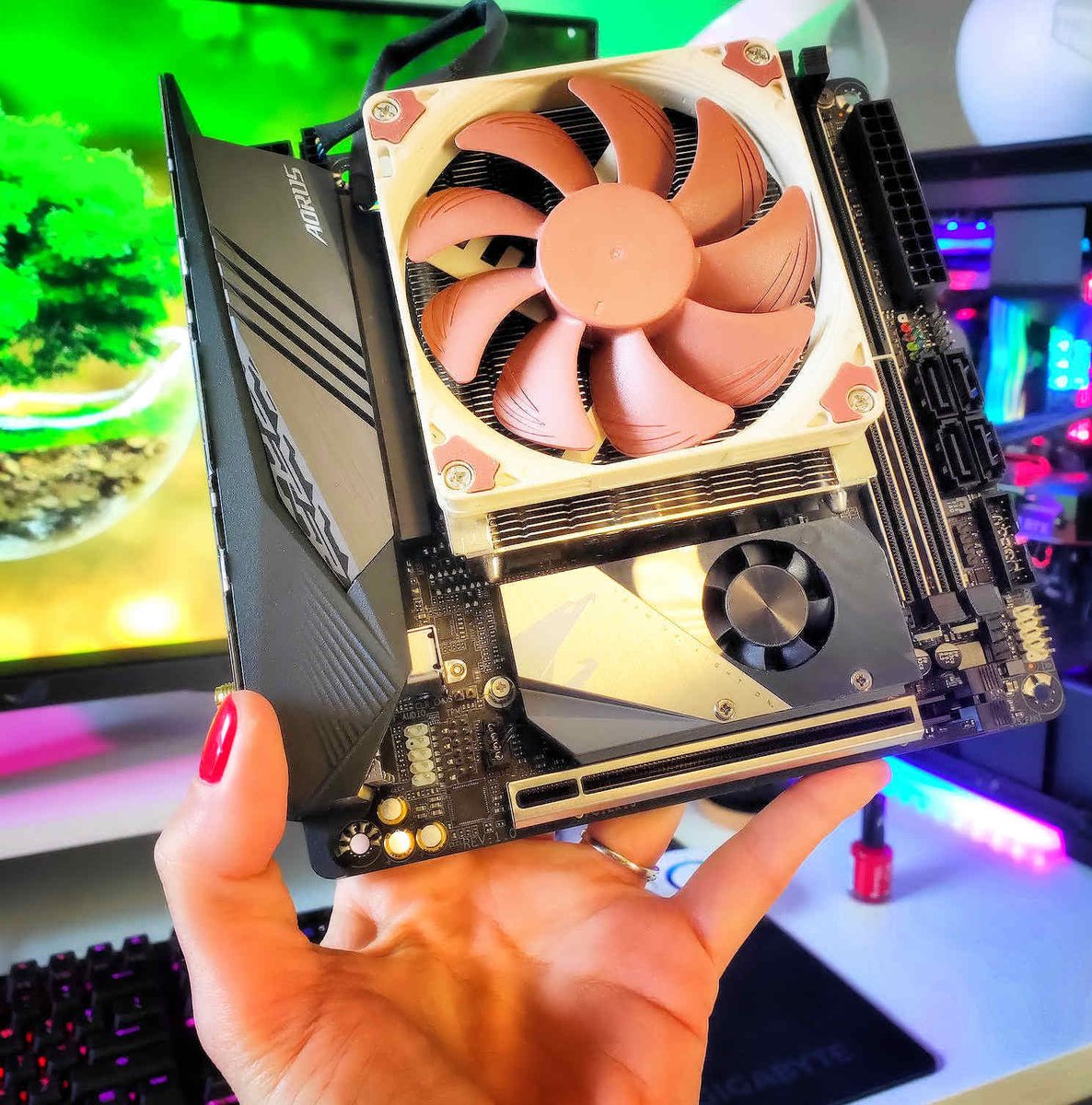 AORUS_DE's tweet photo. Wenn der Lüfter fast größer ist, als das Board.
#AORUS #X570i #PROWIFI https://t.co/agEPIPaMKd