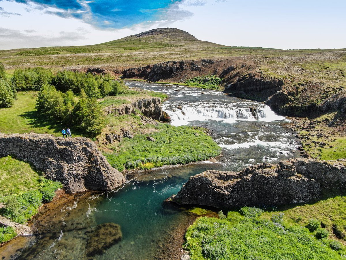 FishingHolidays's tweet photo. And here's our Full Report: https://t.co/FgUJoKWc5D 
#GrimsaRiver #Iceland #FlyFishing #WhereWiseMenFish https://t.co/2qKKXR7R8b