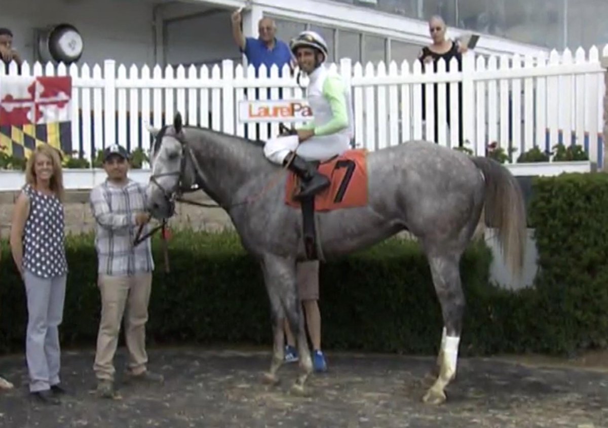 KellyRubley's tweet photo. Creative Budgeting finished strong at @LaurelPark yesterday! https://t.co/0rO5ifviEa
#kmrracing #creativebudgeting #laurelpark #elkstonegroup @stuartmgrant #kellyrubley #julianpimentel https://t.co/CJKmKbzfKg