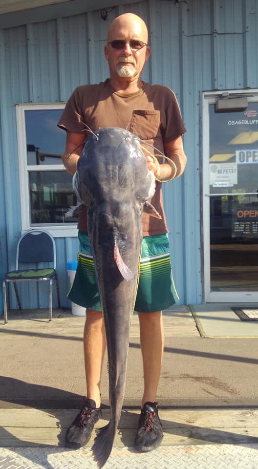 osagebluff's tweet photo. 45 +lbs blue cats are hungry #osagebluffmarina #trumanlake #warsawmo #fishing #osagebluff #catchoftheday https://t.co/SVObtaMkOl