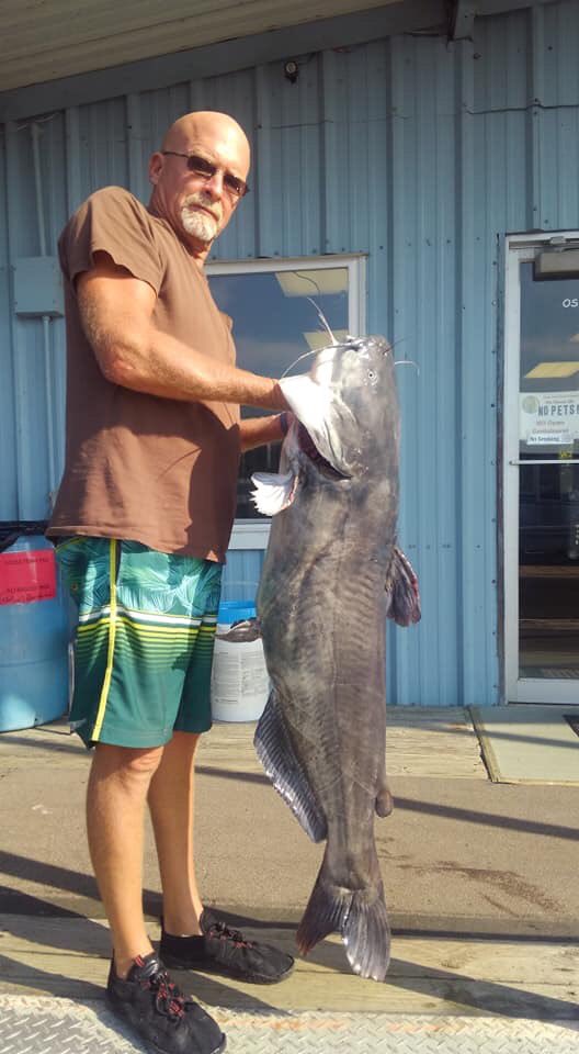 osagebluff's tweet photo. 45 +lbs blue cats are hungry #osagebluffmarina #trumanlake #warsawmo #fishing #osagebluff #catchoftheday https://t.co/SVObtaMkOl