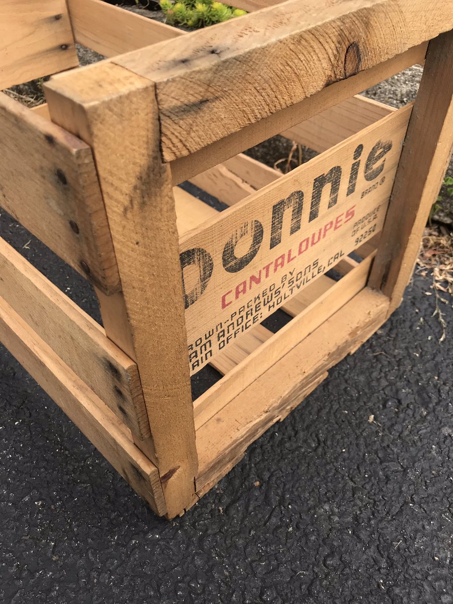 justcrates's tweet photo. A nice cantaloupe crate for you this morning https://t.co/zqUUH1cfda