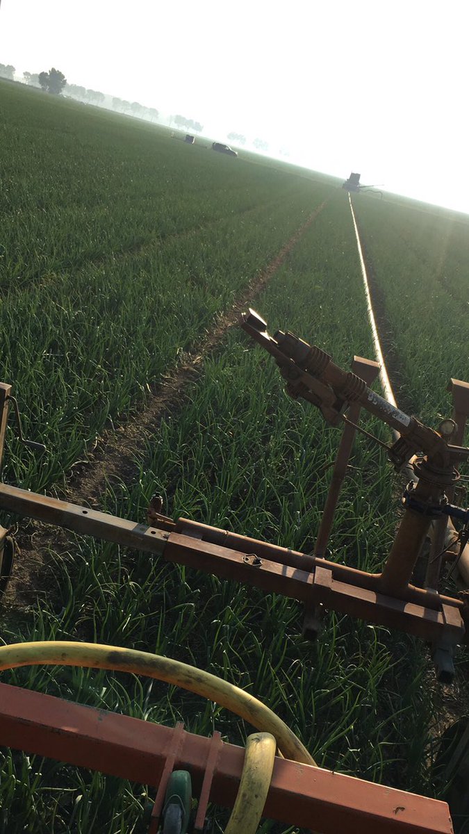 Lekker gevarieerd bezig deze weken! 💪🏼💪🏼🌷☔️🌾🚜 #zomer