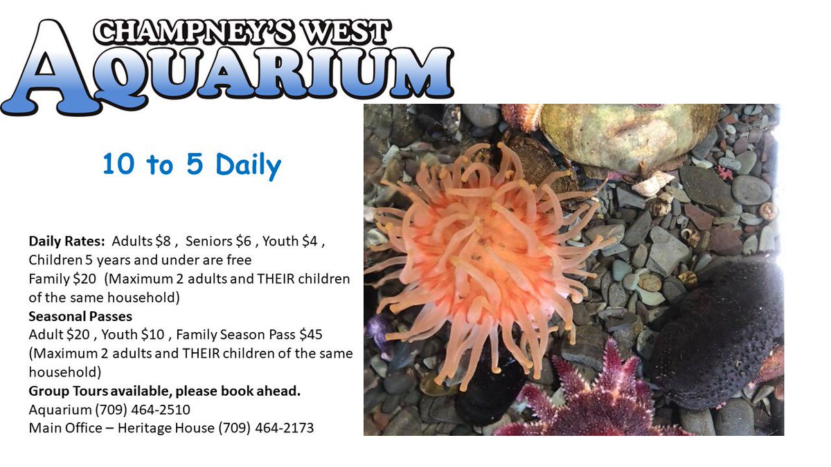 Champney's West, NL tweet media
