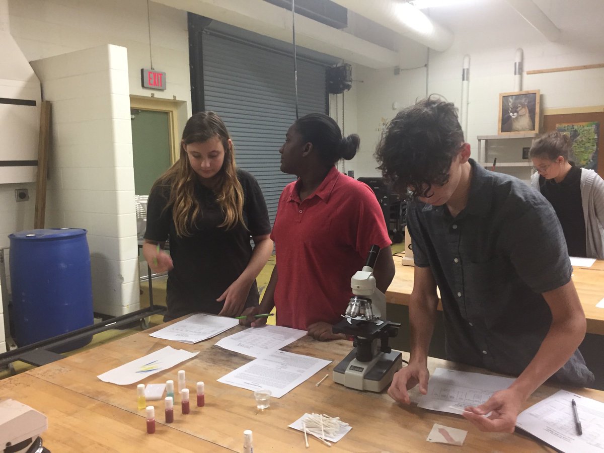 kjohnso_science's tweet photo. Can you solve the crime?! It’s genetics and forensics day for Jumpstart Biology! @NSBHSBarracudas #jumpstartbio2019 https://t.co/gUYW3Awf5y