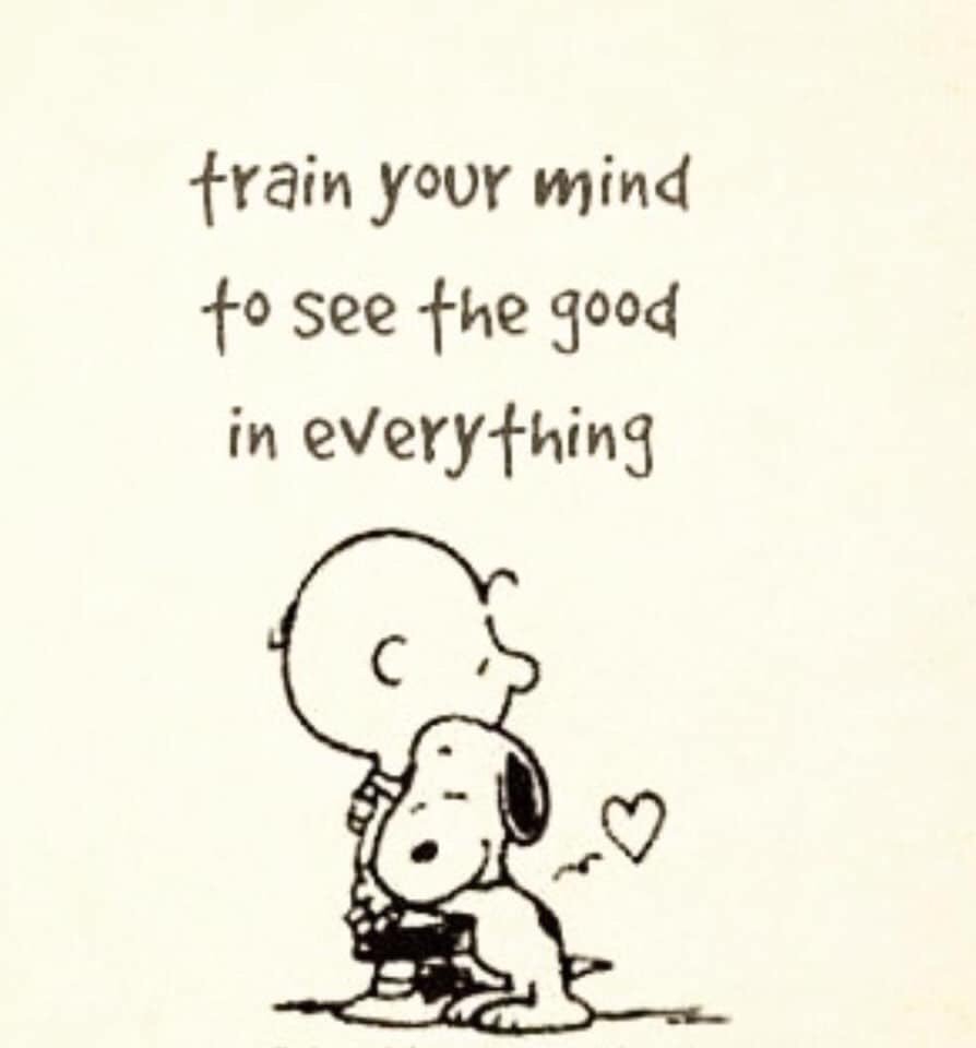 lisa spence, EdS (@spence5lisa) on Twitter photo 