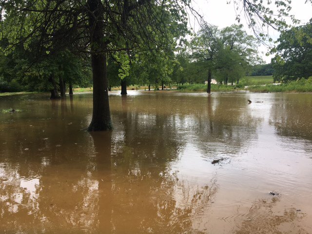 LearnInNature's tweet image. “The rain, rain, rain
Came down, down, down
In rushing, rising riv'lets
'Til the river crept out of its bed
And crept right into Piglet's”
Lots of flooding at @lakefairfaxpark  @fairfaxcounty @capitalweather !  #rvtravel