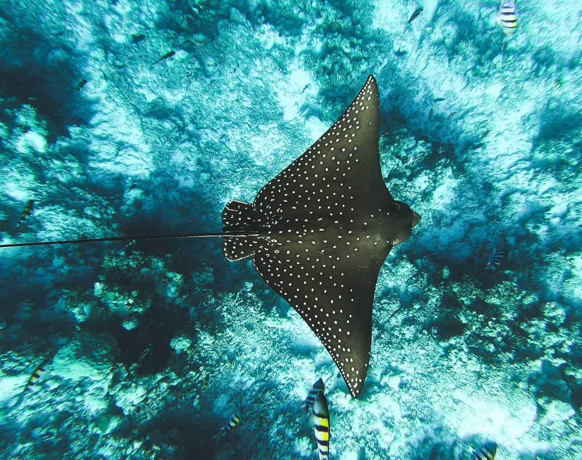 Mindfully Wired tweet media