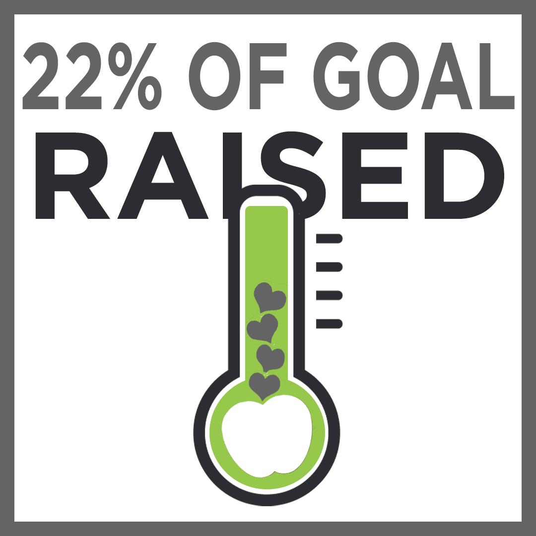 We would not be able to create such an awesome organization like The Store without the help from our awesome partners such as Amerigoup, Microsoft, Sysco and Amazon. For every heart added to our apple, we continue to get closer to our goal to operate The Store.