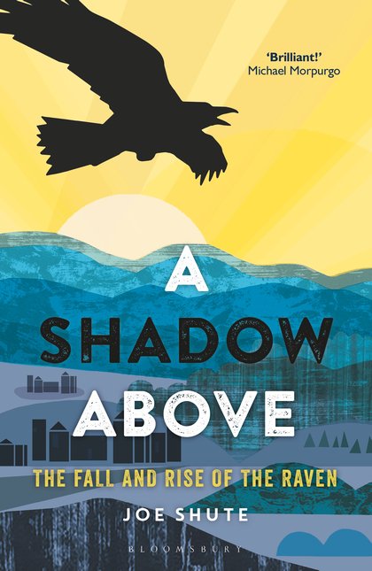 nhbsBooks's tweet photo. Now available in paperback – A Shadow Above: The Fall and Rise of the Raven. A beautiful book that both chronicles the return of the raven to Britain, and examines our attitudes towards this bird. @JoeShute @chiffchat @BloomsburyBooks @JimSpim #ashadowabove https://t.co/oElbcJamI4