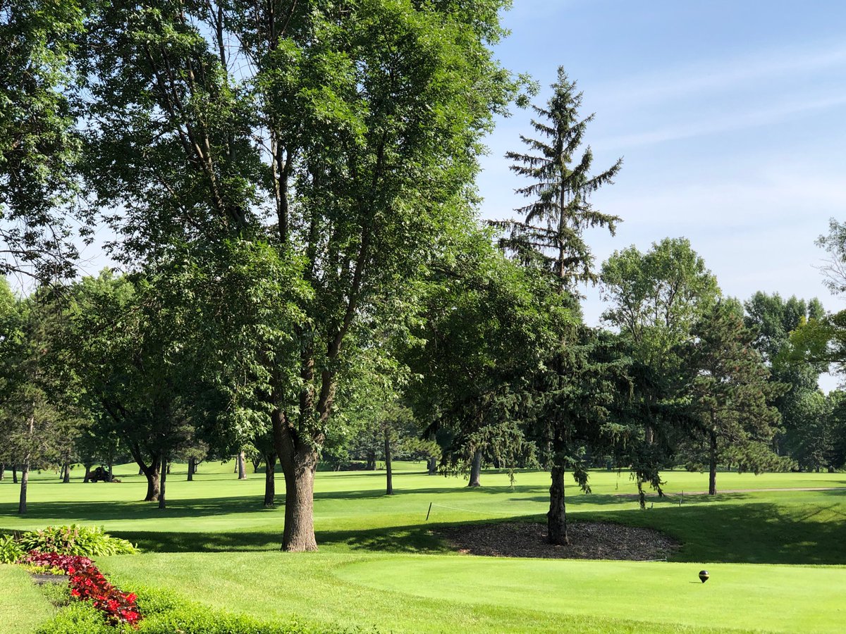 Cat McNerlin tweet media