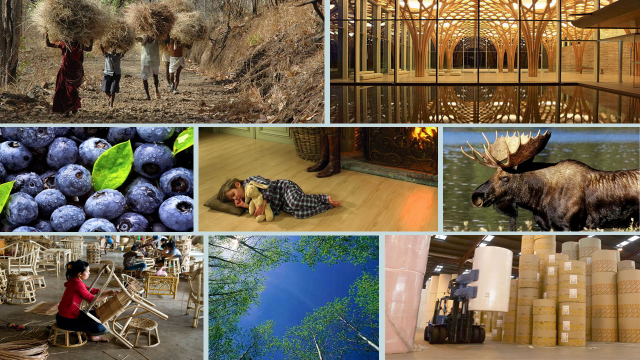 FAOForestry's tweet photo. "The #forest sector is in the #solutions providing business. We need to turn #bioeconomy into appealing #stories that are relevant to people." Kai Lintunen @birdieviews #fcn2019 #ipromo #mountain #forests #partnership #ipromo2019 https://t.co/25meEGgfth