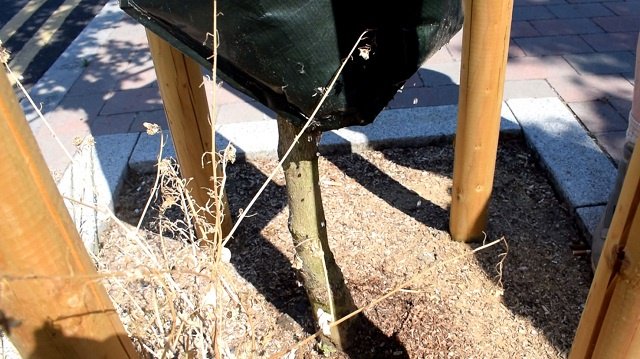 Waltham Forest Council tweet media