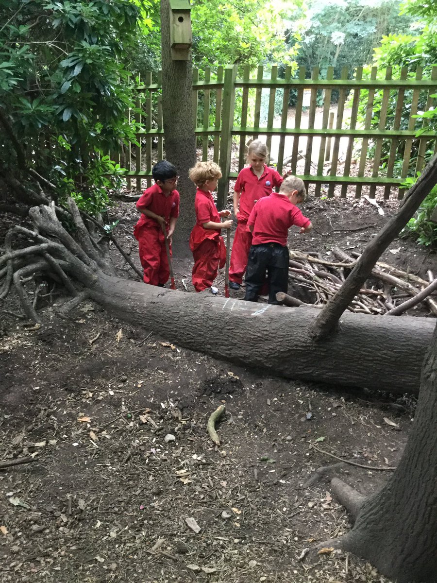Library_BGS's tweet photo. Reception have enjoyed a relaxing afternoon in the Forest School. #BGS_forestschool #BGS_independence https://t.co/GnAULEa4ih