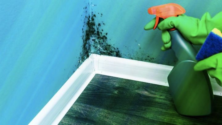 PattiLindberg's tweet image. Mold can be a real problem in your home, but how do you really get rid of it?#moldproblem qoo.ly/yf78e