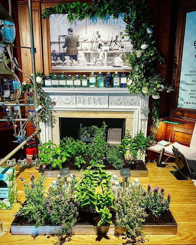 CambridgeGinLab's tweet photo. A fresh week calls for fresh botanicals: step into the Lab and experience the heady aromatics of our in-store botanical garden... 📷 @mattwinterholt

#botanicalinspirations #ginbotanicals #blendyourowngin #adayincambridge #daysoutcambridge #giftsforhe… https://t.co/zi5I6jyCze https://t.co/3dSxSzx5Di