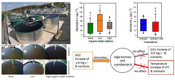 HFeuchtmayr's tweet photo. Our recent #mesocosm study shows that a small increase in dissolved carbon causes increased algal biomass (cyanobacteria), while large increases did not (possibly due to shading).
https://t.co/aFi5Khuncb
#lake #freshwater #brownification #climatechange https://t.co/nBWTL8P26L