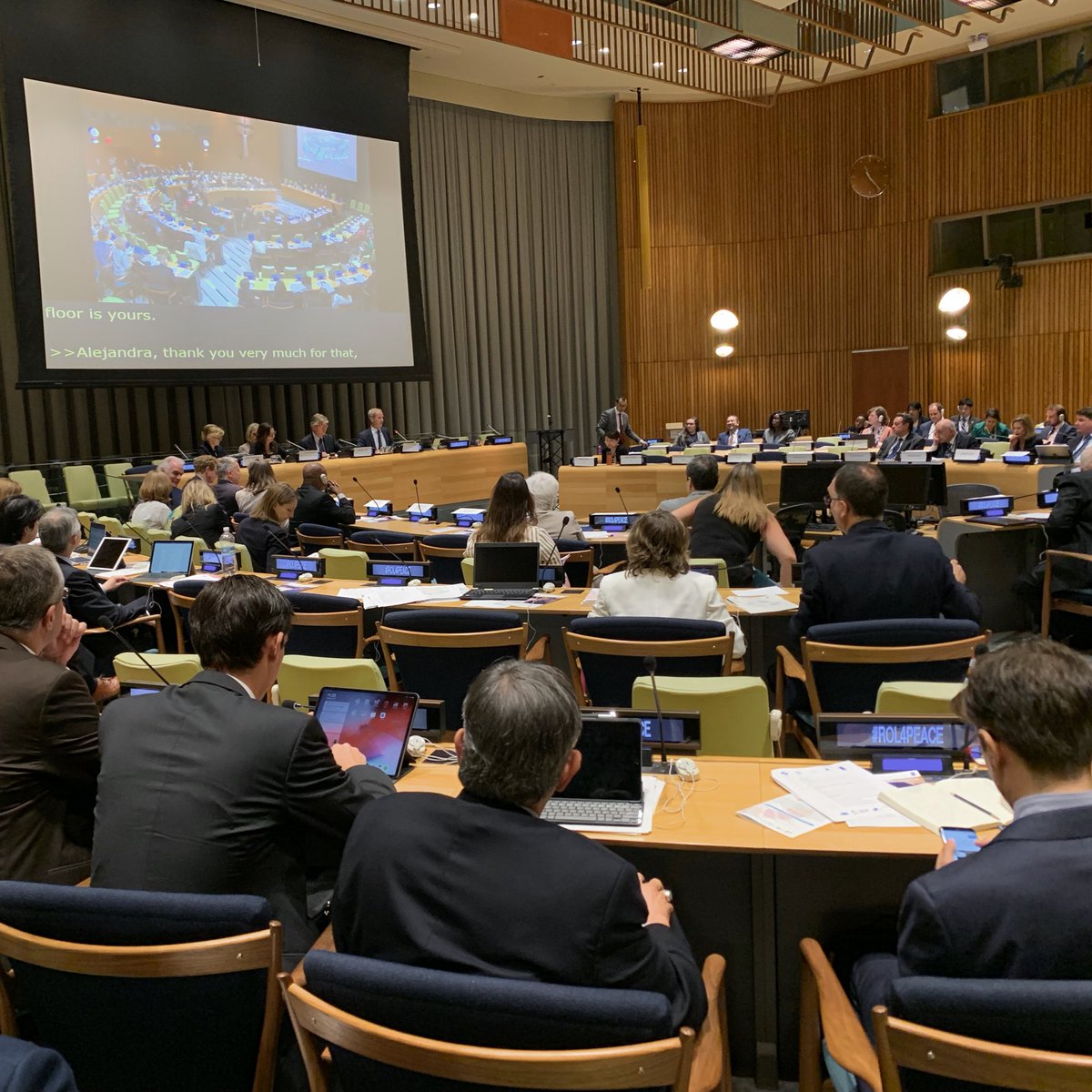 Amb @OlofBSkoog charing the panel at the HL meeting on the #RuleofLaw & #HumanRights for Peaceful, Just & Inclusive Societies. Thank you to @UNDP for being a global policy leader & main implementer of the #RuleofLaw programmes in the @UN system
#RoL4Peace #2030Agenda #HLPF #SDG16