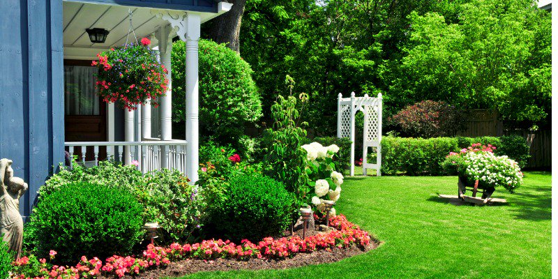 Worried about protecting your plants during a heat wave? Adding mulch, fertilizers and water to keep them in top condition are just a few quick tips. Learn more in our new blog post.
bit.ly/2Jw8Pys