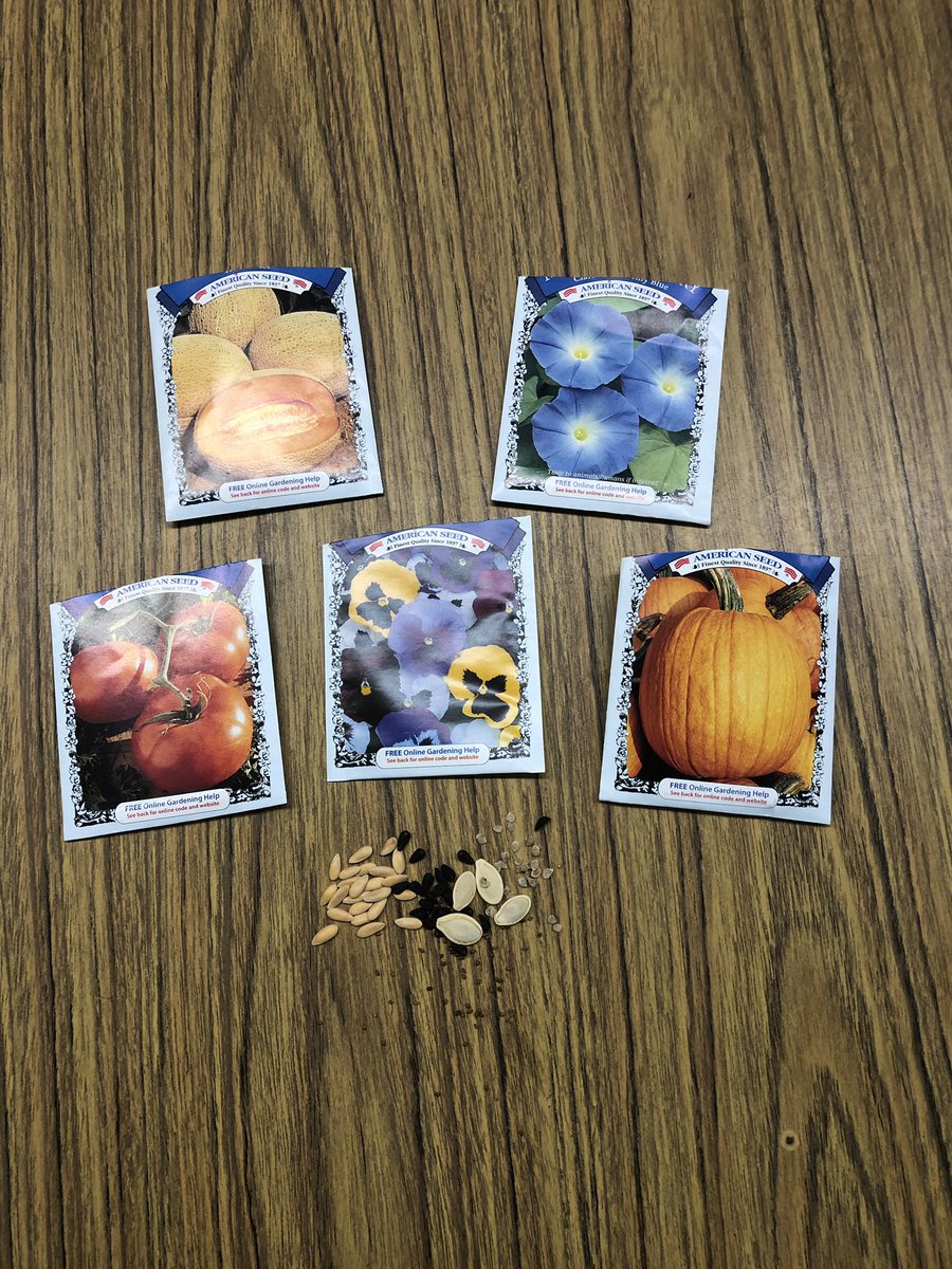 Mrs_Taliaferro1's tweet image. Can you guess which seeds came from which bag? @AlwaysScience1 My kids had fun with today’s lesson on Seeds! #2019CCSRTACamp #litnccs @CumberlandCoSch @nc_rta